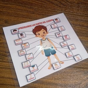 Cartilla del Cuerpo Humano con Velcro