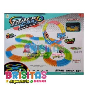 Pista Track Car (366 Piezas)