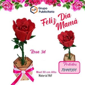 Rosa 3D